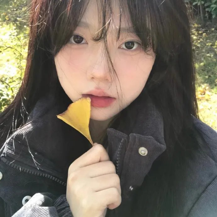 头号型动派